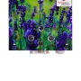 Колонка газовая дымоходная Aquatronic JSD20-AG108 10 л с режимом Зима/Лето, панель из стекла с рисунком цветы