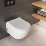 Унитаз-биде с крышкой Quarter Bath Deep (70DE03054.00.4.3.02/30SCD.03.02.WG)