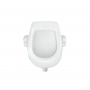 Пісуар підвісний дитячий Qtap Baby 420х300х465 White з малюнком QT2388U460EWD